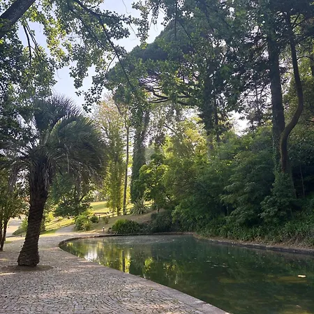 Casa D'avó Amália Сasa de vacaciones Travanca